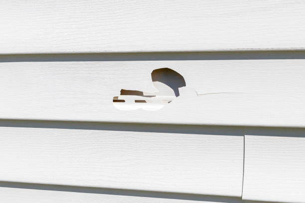 Reliable Mexico Beach, FL Siding Installation & Repair Solutions
